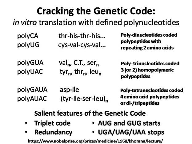 Slide28.JPG